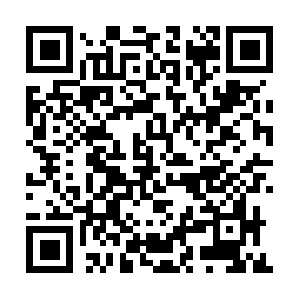 Elizaldeaircraftservicesaustralia.com QR code