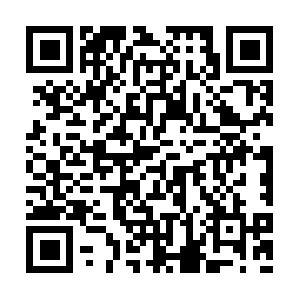 Emailcampaignmanagementconsultancy.com QR code