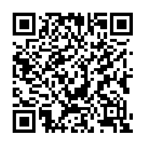 Empirezoysiaturfspecialistsouthflorida.com QR code