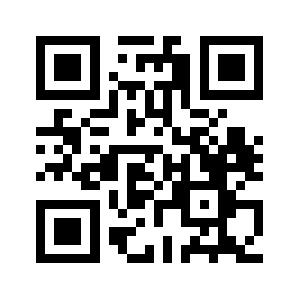 Enginev.biz QR code