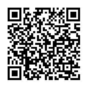 Environmentprotectioninitiative.com QR code