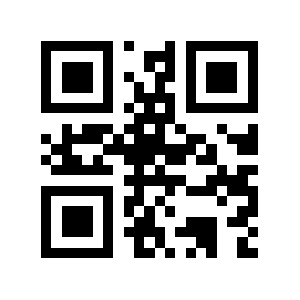 Enx.biz QR code