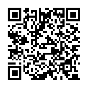 Epdg.epc.mnc008.mcc510.pub.3gppnetwork.org QR code