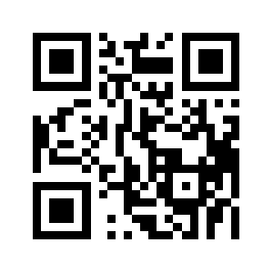 Epin-vip.com QR code