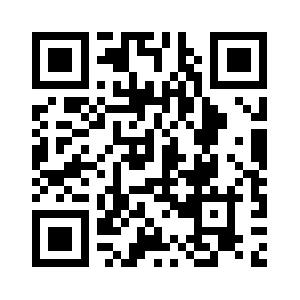 Ervinforgovernor.com QR code