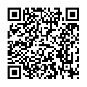 Escursionialleisoleconsorziodelgolfo.com QR code