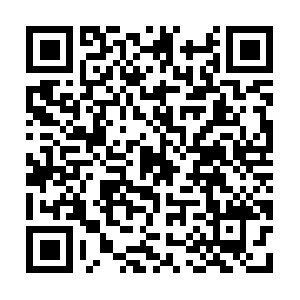 Europeanboardofmedicalcryolipolysis.com QR code