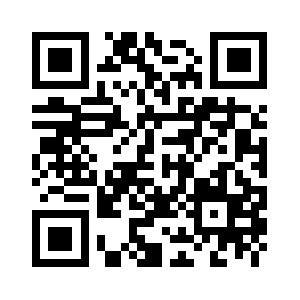 Everitsolutions.com QR code