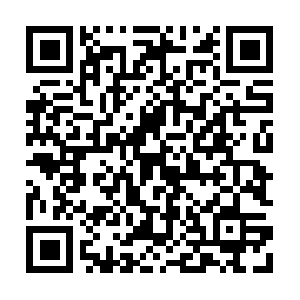 Everyones-compositionto-stayin-formed.info QR code