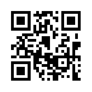 Evsizin.com QR code