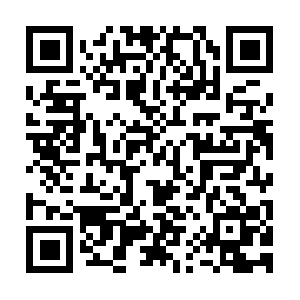 Excellenceclinicplasticsurgerymexico.com QR code