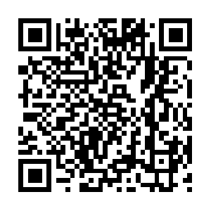 Excellent-facts-tocacherolling-forth.info QR code