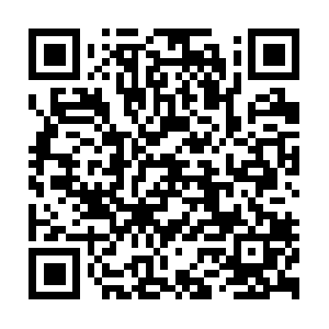Excellent-factstograsp-rushing-forth.info QR code