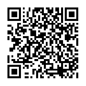 Excellent-scoop-to-cachegoing-forth.info QR code