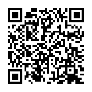 Excellent-wisdomtocarrypushing-forth.info QR code