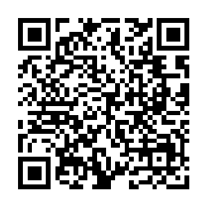 Excellentsuccessdietoptimumbody.com QR code