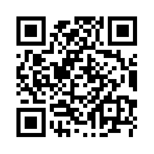 Excelsolutions4u.com QR code