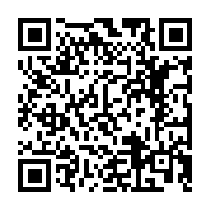 Exercisesforlowerbackpainrelief.com QR code