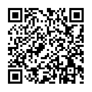 Expert-nekretnine-samostalni-saradnik.com QR code