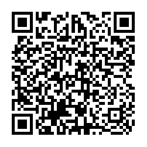 F2f2cac8-1be1-4fab-a655-53fbb87fb1ea.distil.ninja QR code