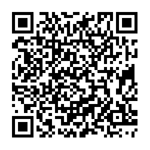 F6060bd9-3a29-4b98-820e-ae64abd172c3.distil.ninja QR code