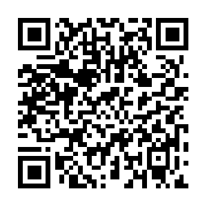 Fabulous-knowledgetosavegoing-forth.info QR code