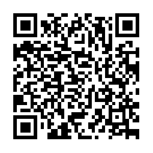 Falgnameria-nincheri-di-nincheri-antonio.com QR code