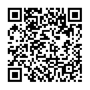 Fb-copyright-support-1000000817248652.com QR code