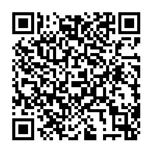 Fbsbx.com.getcacheddhcpresultsforcurrentconfig QR code