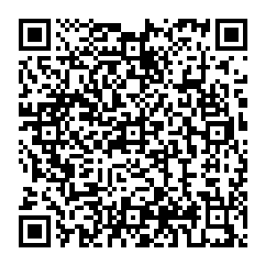 Fdu-ub3ce1ed3-c100-a1e21-s1605428591-2-i2448d6d5.tbap.dotnxdomain.net QR code