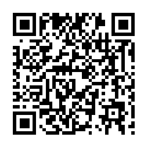 Federationdebosselagesanspeinture.com QR code