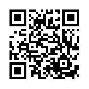 Feiyanggongsi.com QR code