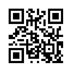 Feyzinur.com QR code