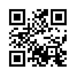 Ff9566.com QR code