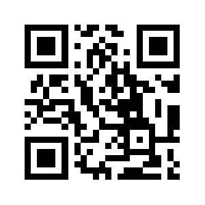 Finsecure.biz QR code