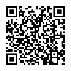 Firstcalltamparealestateproperties.com QR code