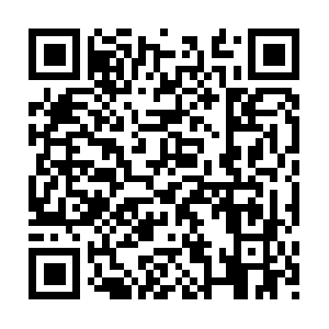 Firstcannabinolfoodsmarketscorporation.com QR code