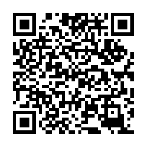 Firsthandgaragedoorrepairandgaterepair.com QR code