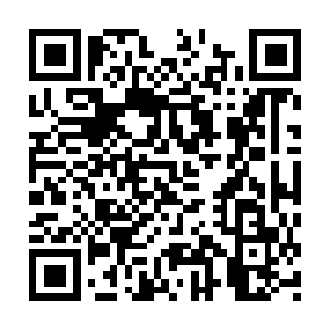 Firstmadampresidenthillaryclinton.info QR code