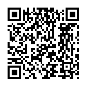 Firstmarijuanainternetnetworkcorporation.com QR code