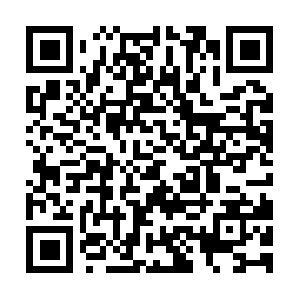 Firstsmilephysiotherapyrehabpathlab.com QR code