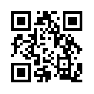 Flash.blitz.gg QR code