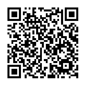 Flaviolandscapingandhardscaping.com QR code