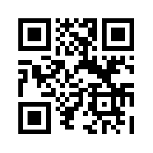 Flesin.com QR code