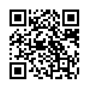 Flyboyscarwash.com QR code