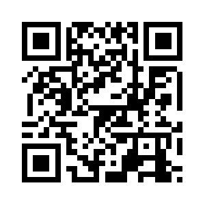 Flygamesnow.net QR code