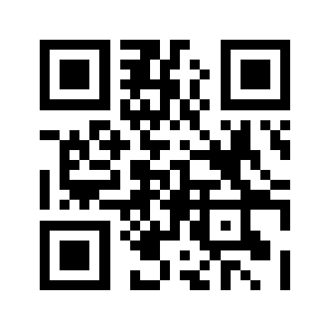 Flyice.com QR code