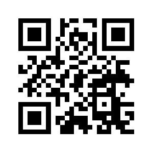 Flynnstorm.us QR code