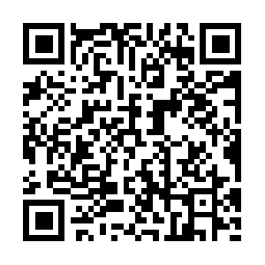 Fondamentosocialeinternazionale.com QR code