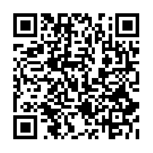 Foodcateringservicesmiamiflorida.com QR code